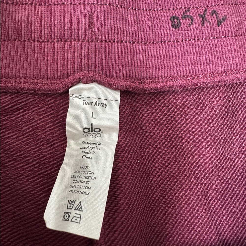 ALO Yoga Men’s Burgundy/Maroon Hoodie and Shorts Set - Size Large - Picture 9 of 9